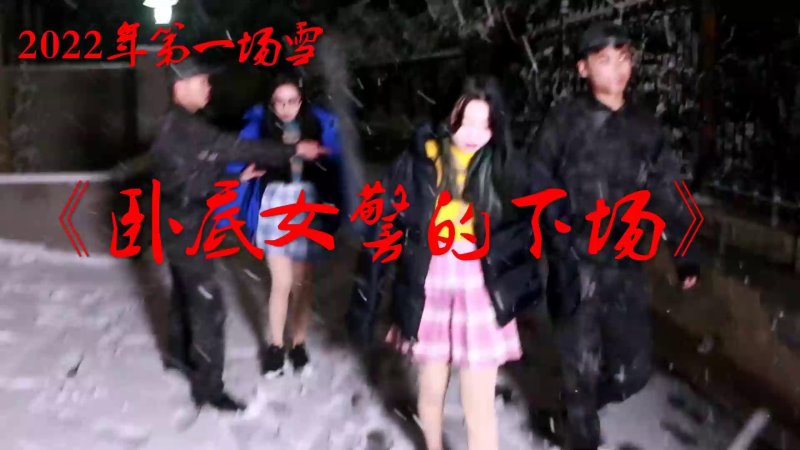 胜景山庄工作室新作品之2022年第一场雪《卧底籹jing的下场》！本影视可在线看！
