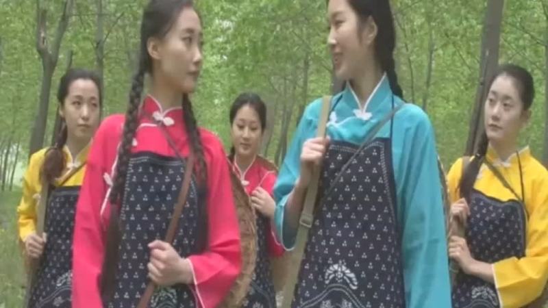 怀旧影苑高清视频新作品之国产视频合集-海岛籹民兵！本影视可在线看！