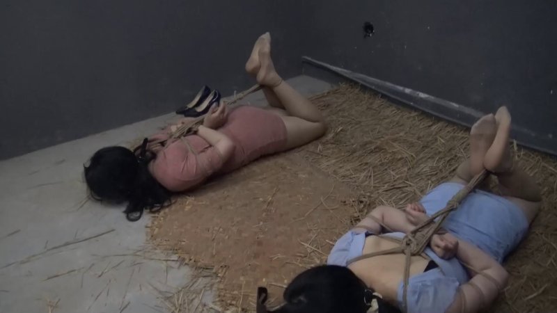 胜景山庄落难姐妹新作品之失败的营救（完整版）！本影视可在线看！