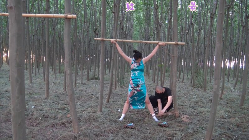 胜景影视所有电影新作品之旗袍双M树林吊缚！本影视可在线看！