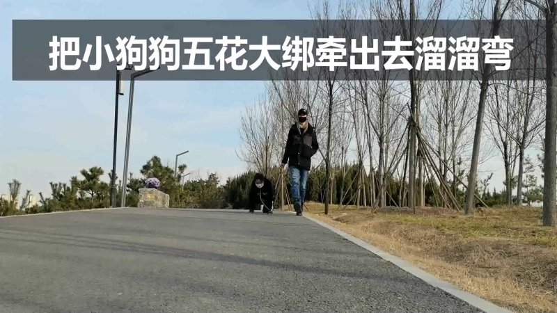 一绳所爱美女紧缚网站新作品之把小狗狗五花大绑牵出去溜溜弯！本影视可在线看！